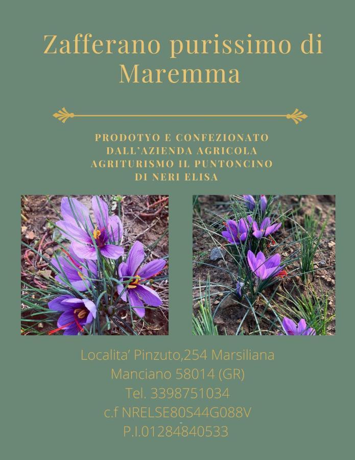 Agriturismo Il Puntoncino Marsiliana Εξωτερικό φωτογραφία