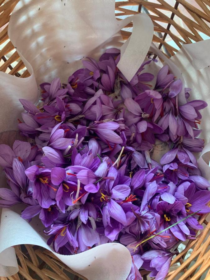 Agriturismo Il Puntoncino Marsiliana Εξωτερικό φωτογραφία